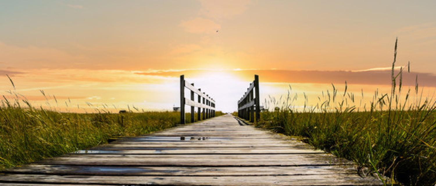  PSICOTERAPIA INDIVIDUALE
